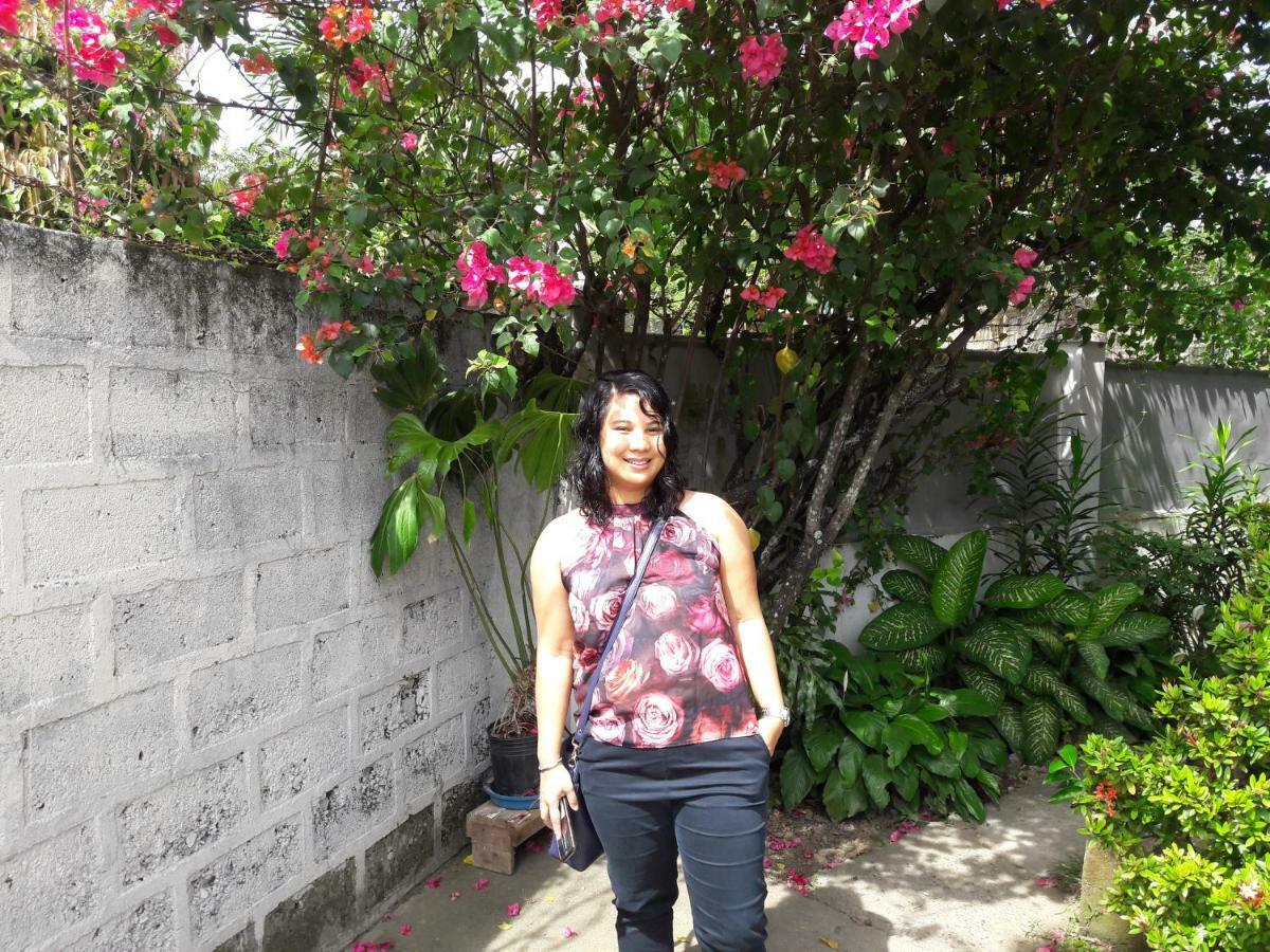 Homestay Bamboo Transient House
